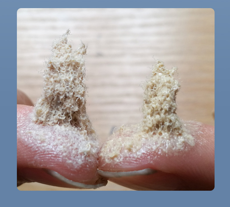 盾尾密封油脂細節(jié)展示